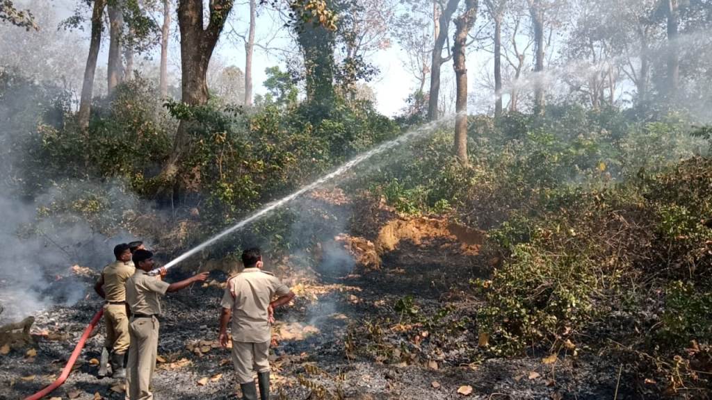 জঙ্গলে ভয়াবহ অগ্নিকান্ড