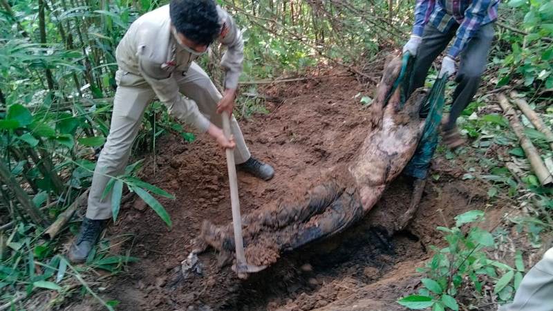 ত্রয়ী গণ-হত্যাকাণ্ডে নিখোঁজ যুবকের উদ্ধার পঁচাগলা লাশ 