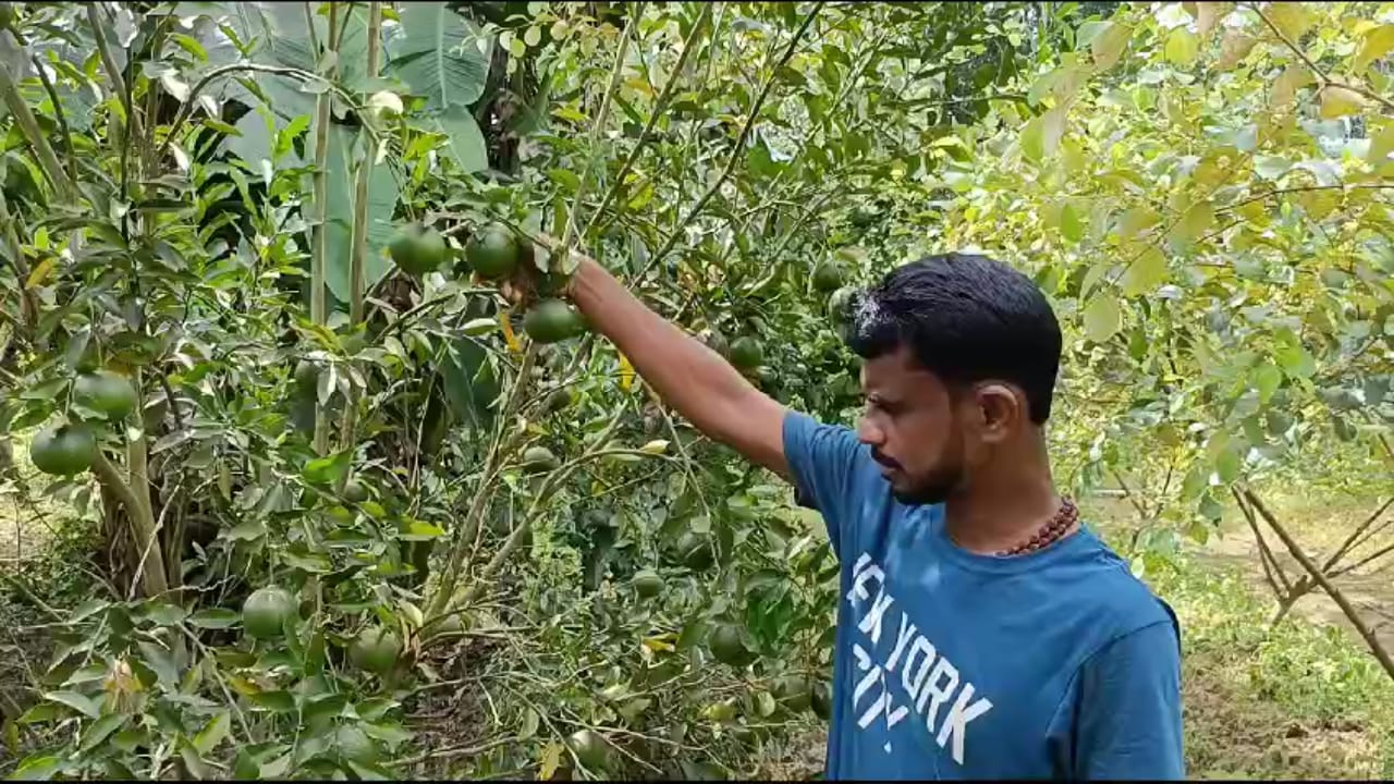 ফল চাষে স্বনির্ভর সুবীর 