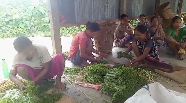 জঙ্গলের লতাপাতা বিক্রি করেই বাঁচার লড়াই জারি জনজাতিদের 