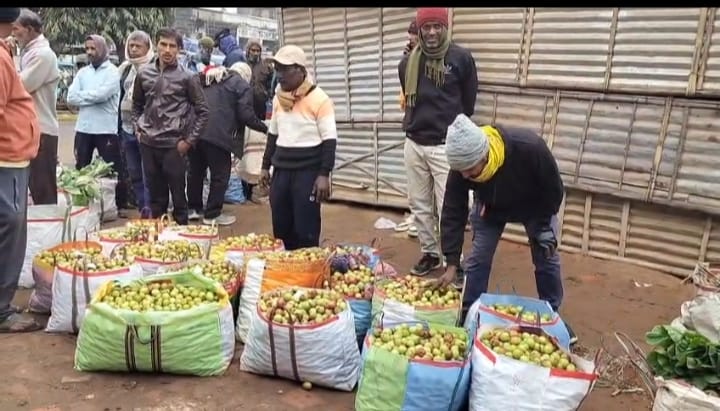 বাজারে এলো ভারতসুন্দরী কুল