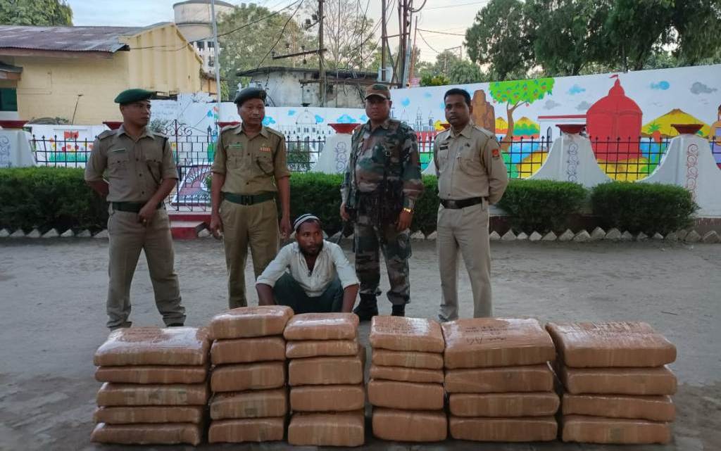 তেলিয়ামুড়ায় ফের বিশাল পরিমাণে গাঁজা আটক