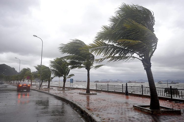 মার্কিন যুক্তরাষ্ট্রে ঘূর্ণিঝড়ের তাণ্ডব, নিহত ১৪