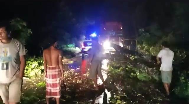 গাছ ভেঙ্গে পরে জাতীয় সড়কে বেশ সময় স্তব্ধ যান চলাচল