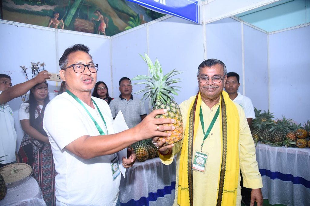 আনারস উৎসবের উদ্বোধন কৃষিমন্ত্রীর