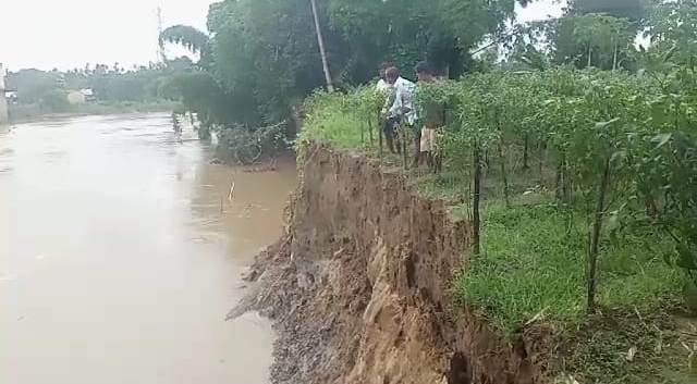 প্রবল বর্ষণে নদীর পাড় ভাঙ্গনে ক্ষতিগ্রস্ত কৃষকদের ভরসা রাজ্য সরকার