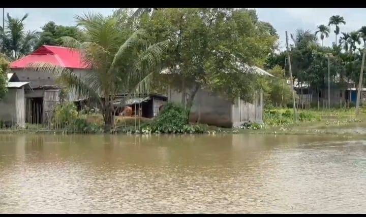 তেলিয়ামুড়ার বিস্তীর্ণ এলাকা জলমগ্ন 