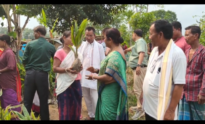 খাবাকসা পাড়ার সুবিধাভোগীর হাতে বিভিন্ন চারা তুলেন দিলেন বিধায়িকা 
