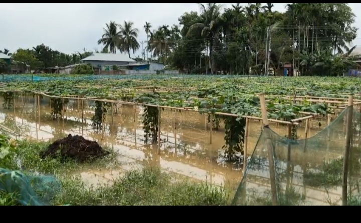 মন্ত্রীর নির্বাচনী ক্ষেত্রে মানুষের ক্ষোভের বহিঃপ্রকাশ 