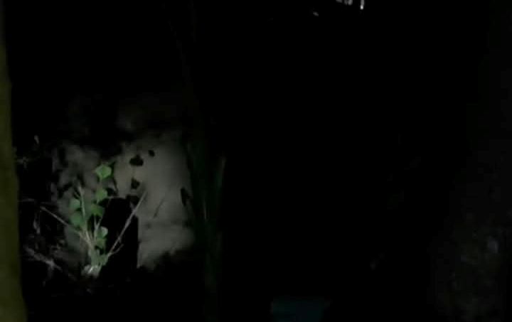 জাতীয় সড়কে বন্য হাতির হানা, আতঙ্কে তেলিয়ামুড়ার মানুষ